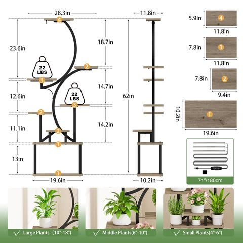 BACEKOLL elegant curved design adds decorative plant display.