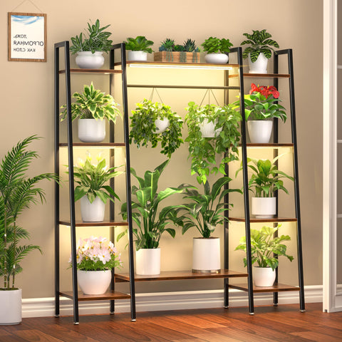 BACEKOLL plant stand with grow lights setup supports year-round indoor growth