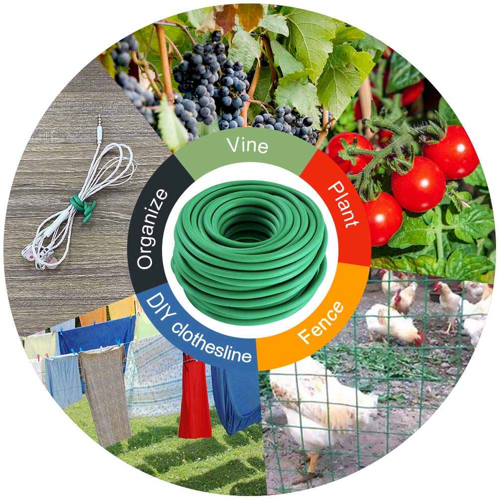 Bacetuao reusable ties reduce waste and simplify plant training.