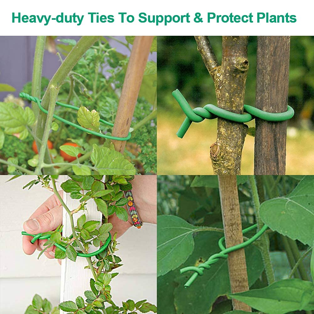 Bacetuao green twist tie blends into garden scenery for discreet support.
