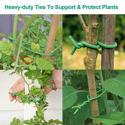 Bacetuao green twist tie blends into garden scenery for discreet support.