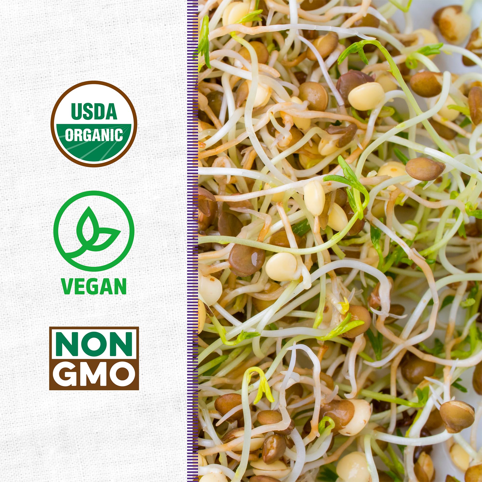 Back to the Roots alfalfa sprouts, crisp and versatile for sandwiches and salads.