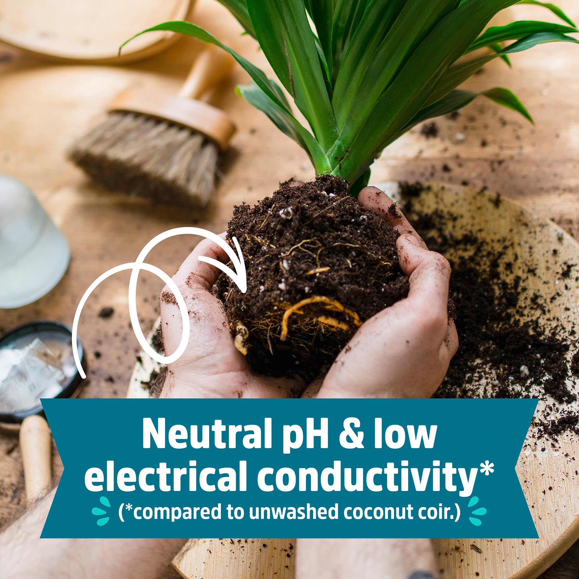 Back to the Roots balanced pH soil suitable for vegetables and herbs.