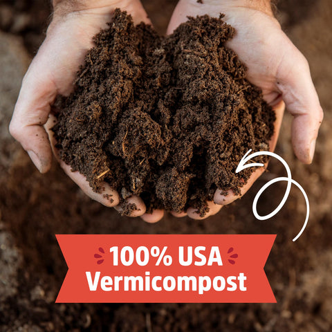 Back to the Roots beneficial microbes close-up shows soil health support.