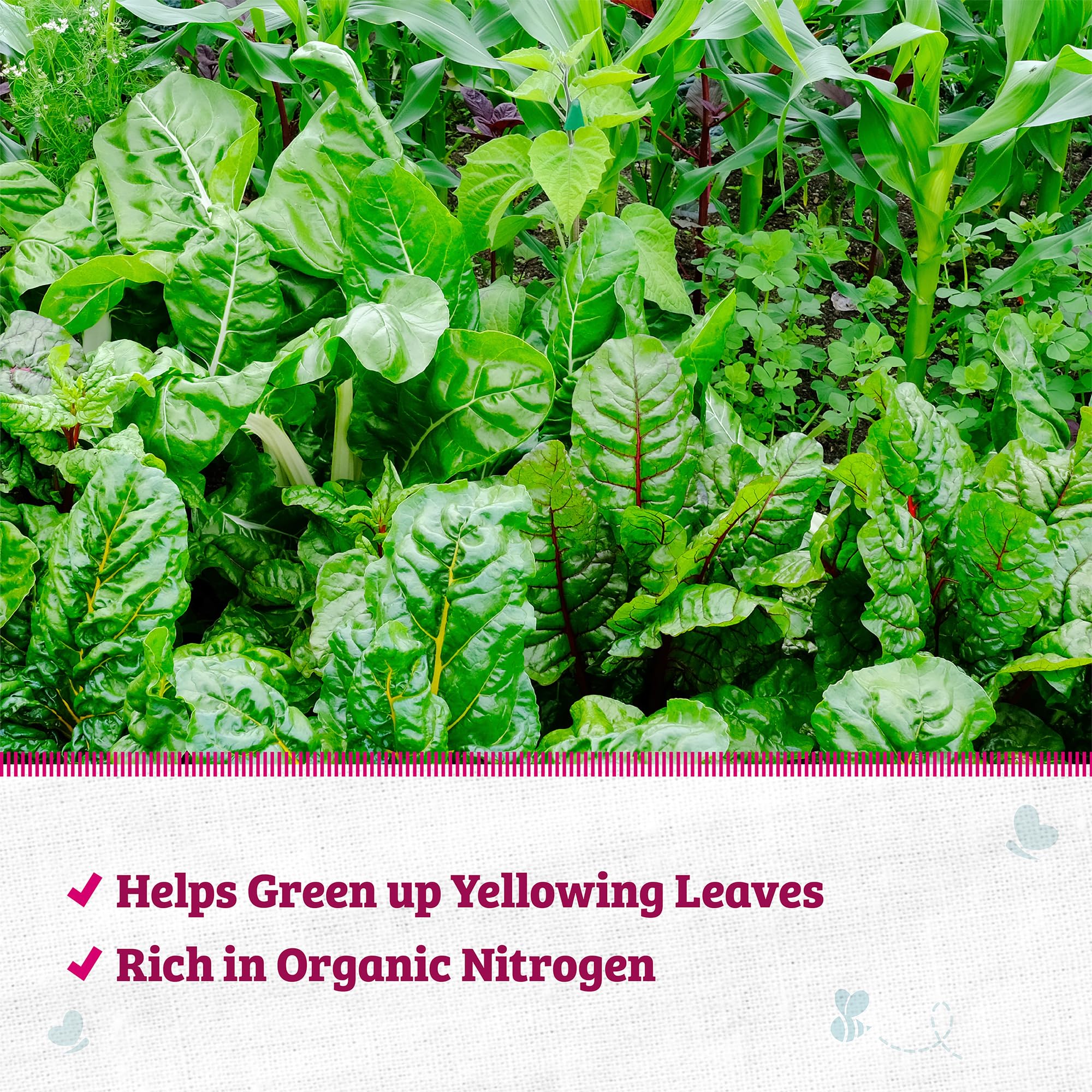 Back to the Roots Blood Meal promotes vibrant color in flowers and vegetables.