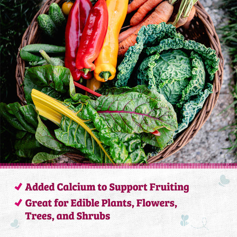 Back to the Roots Blood Meal helps green up yellowing leaves with added calcium.