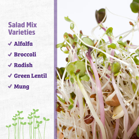 Back to the Roots di cicco broccoli sprouts, vibrant crunchy addition to meals.