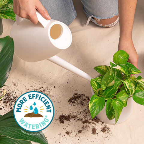 Back to the Roots dolomitic limestone balances soil pH for steady nutrient uptake