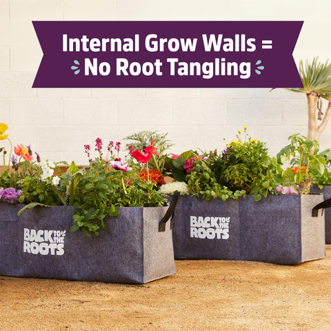 Back to the Roots fabric bed drains moisture and resists sun for longer use.