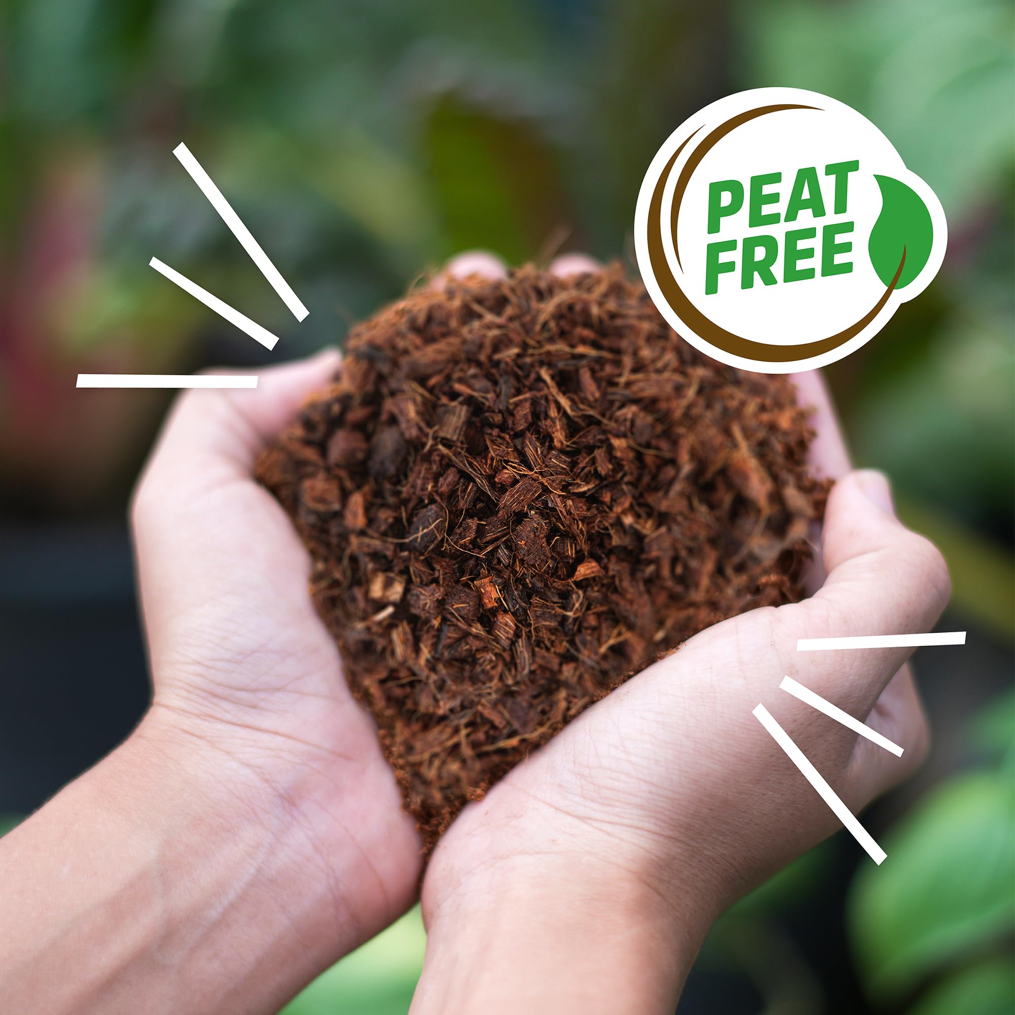 Back to the Roots expand-to-2-cubic-feet mulch brick powers rich garden beds.