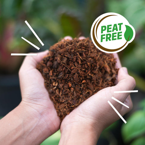 Back to the Roots expand-to-2-cubic-feet mulch brick powers rich garden beds.