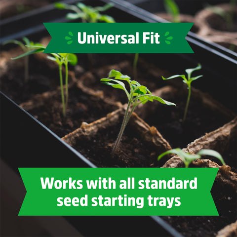 Biodegradable trays from Back to the Roots emphasize eco-friendly materials