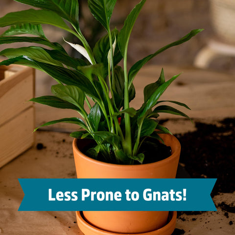 Back to the Roots Grow One Give One donation program image.