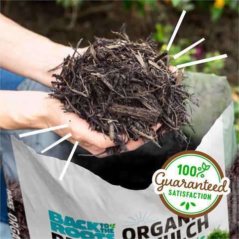 Back to the Roots gypsum for better water absorption