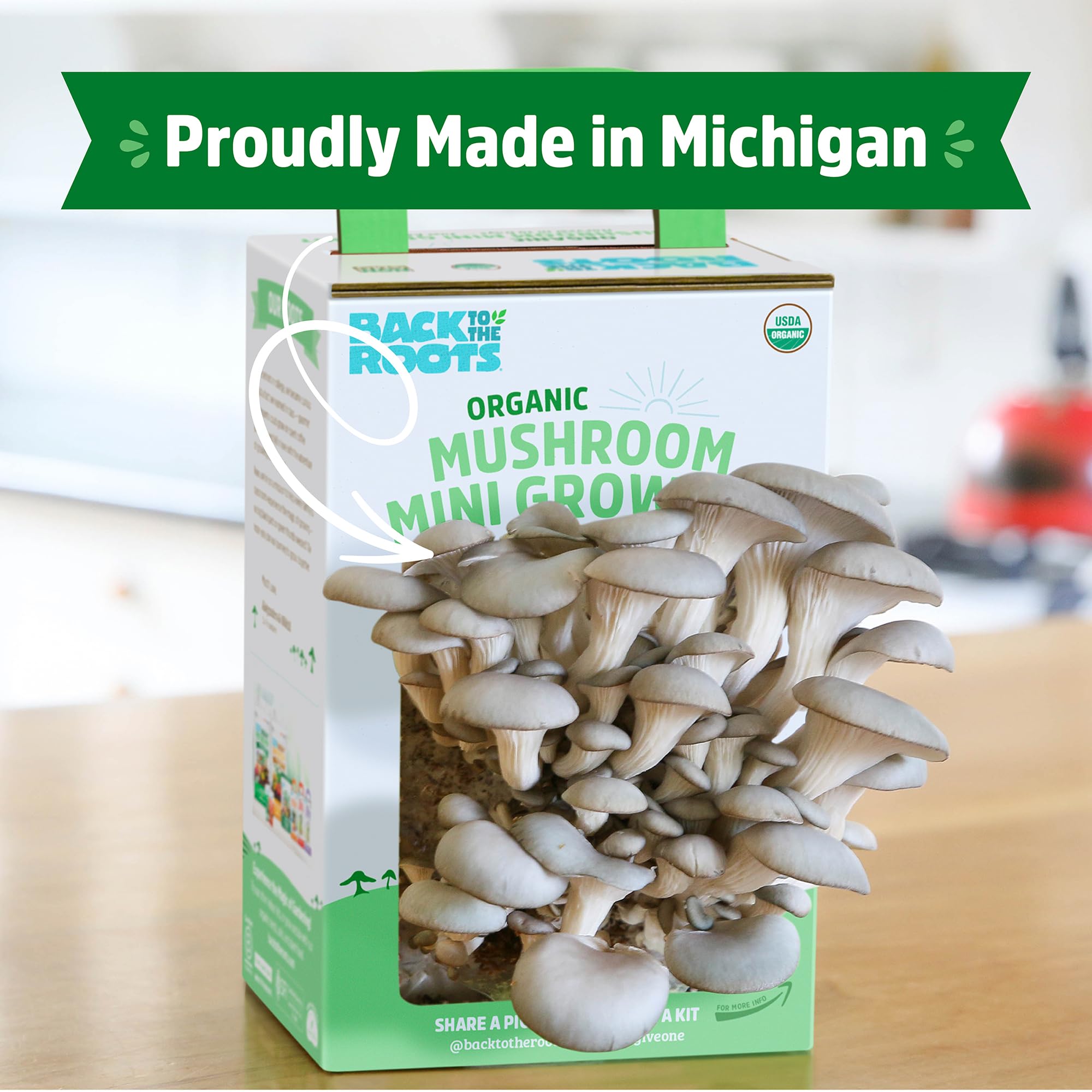 Back to the Roots indoor grow near a window sill delivers year-round harvest.