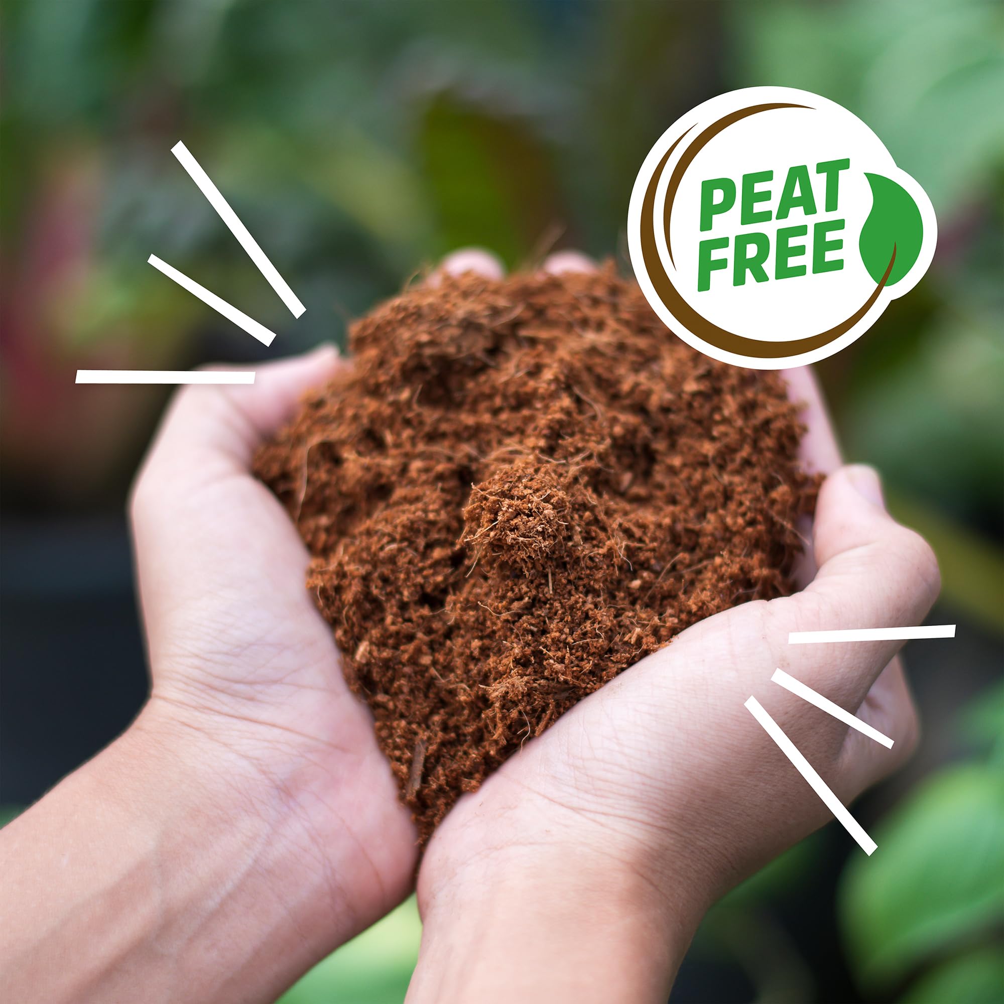 Back to the Roots versatile soil for vegetables, herbs, and flowers.