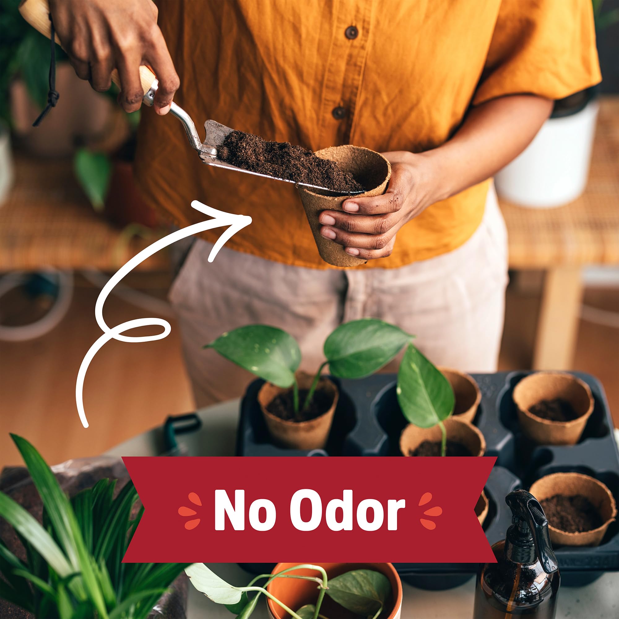 Back to the Roots indoor plants in a pot showcase odor-free soil amendment.