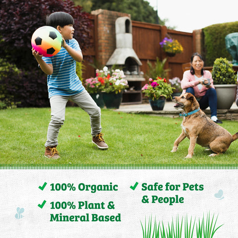 Back to the Roots iron-enhanced formula promotes deeper green lawn color