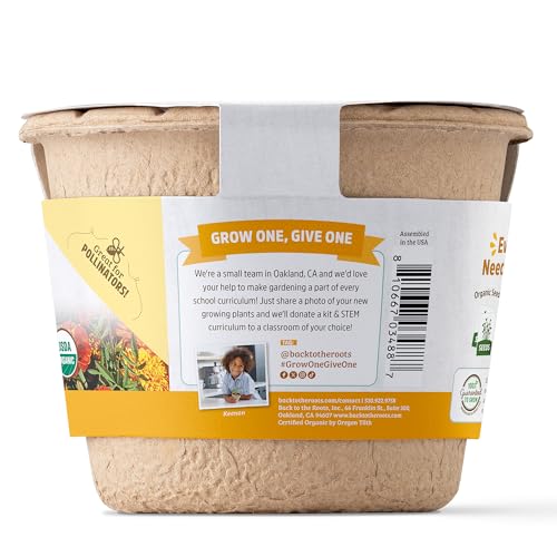Back to the Roots marigold kit expanding soil supports strong seedling growth