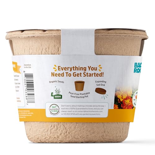 Back to the Roots marigold kit peat-free pot enables sustainable plantable starting