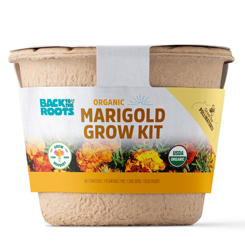 Back to the Roots marigold kit seed packet primes vibrant blooms for beginners