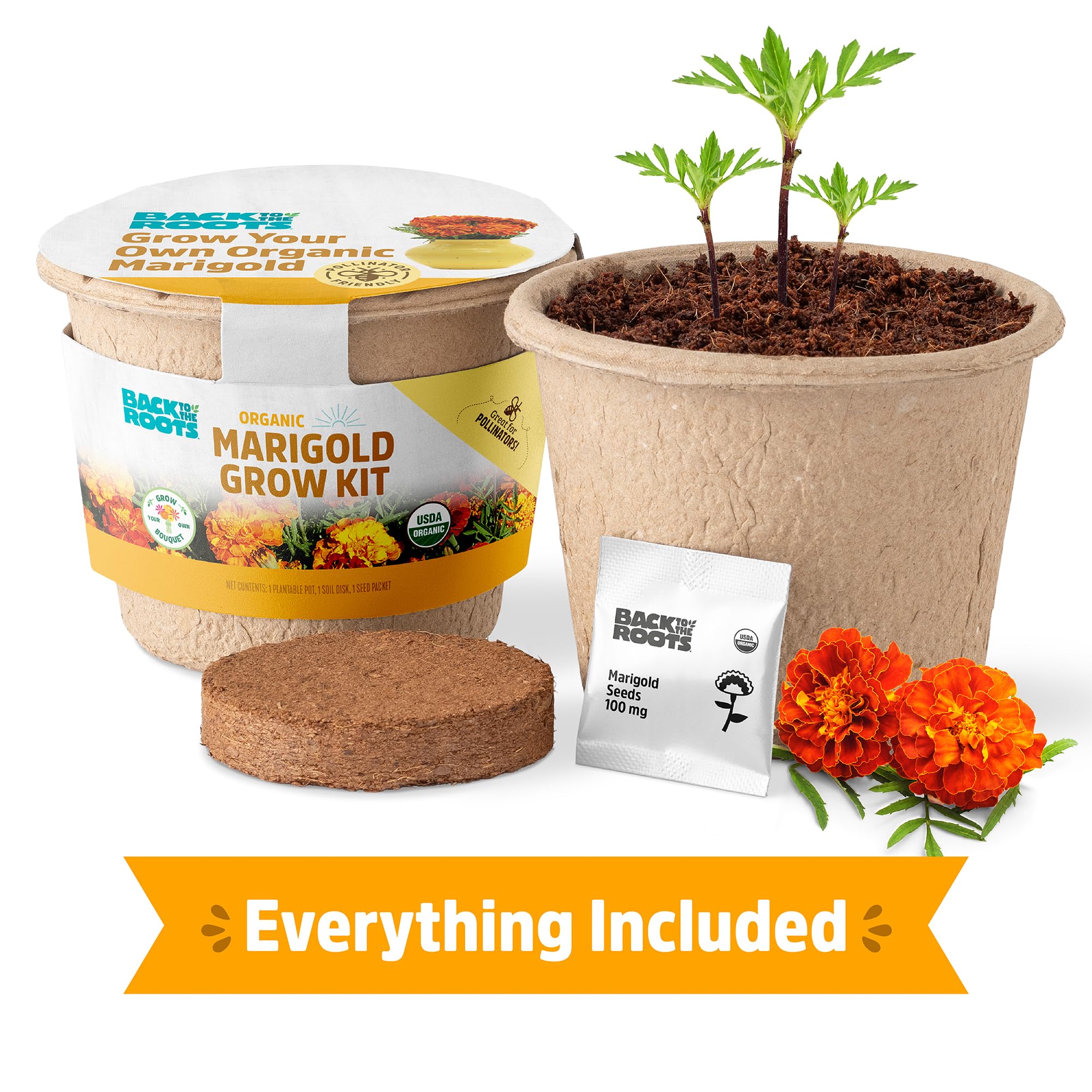 Back to the Roots marigold kit seedling to bloom delivers quick color