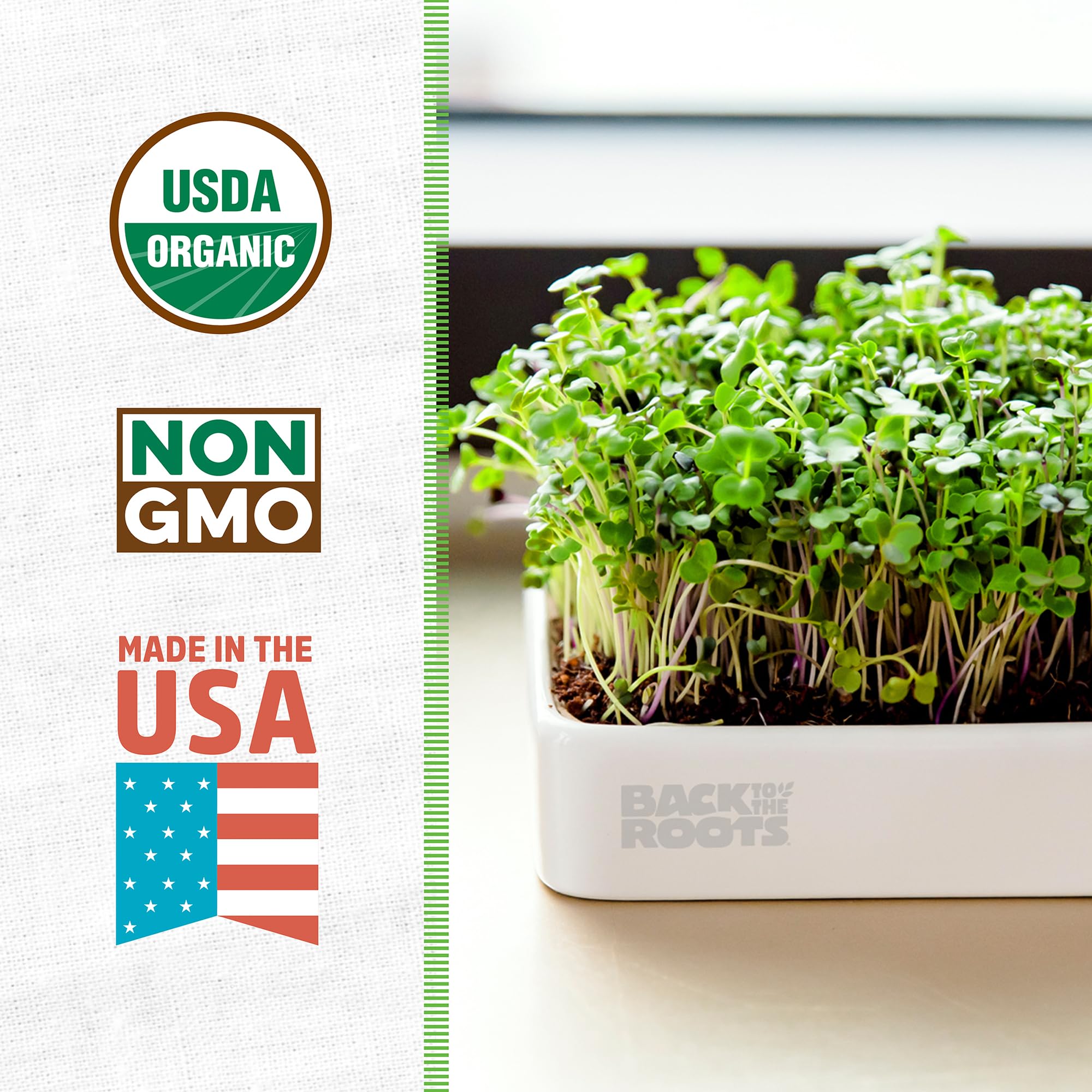 Back to the Roots microgreens kit expandable soil in use during fresh harvest.