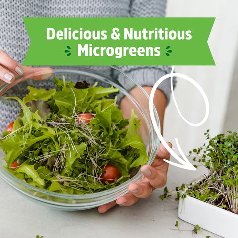 Back to the Roots microgreens kit indoor-ready design supports year-round growth.