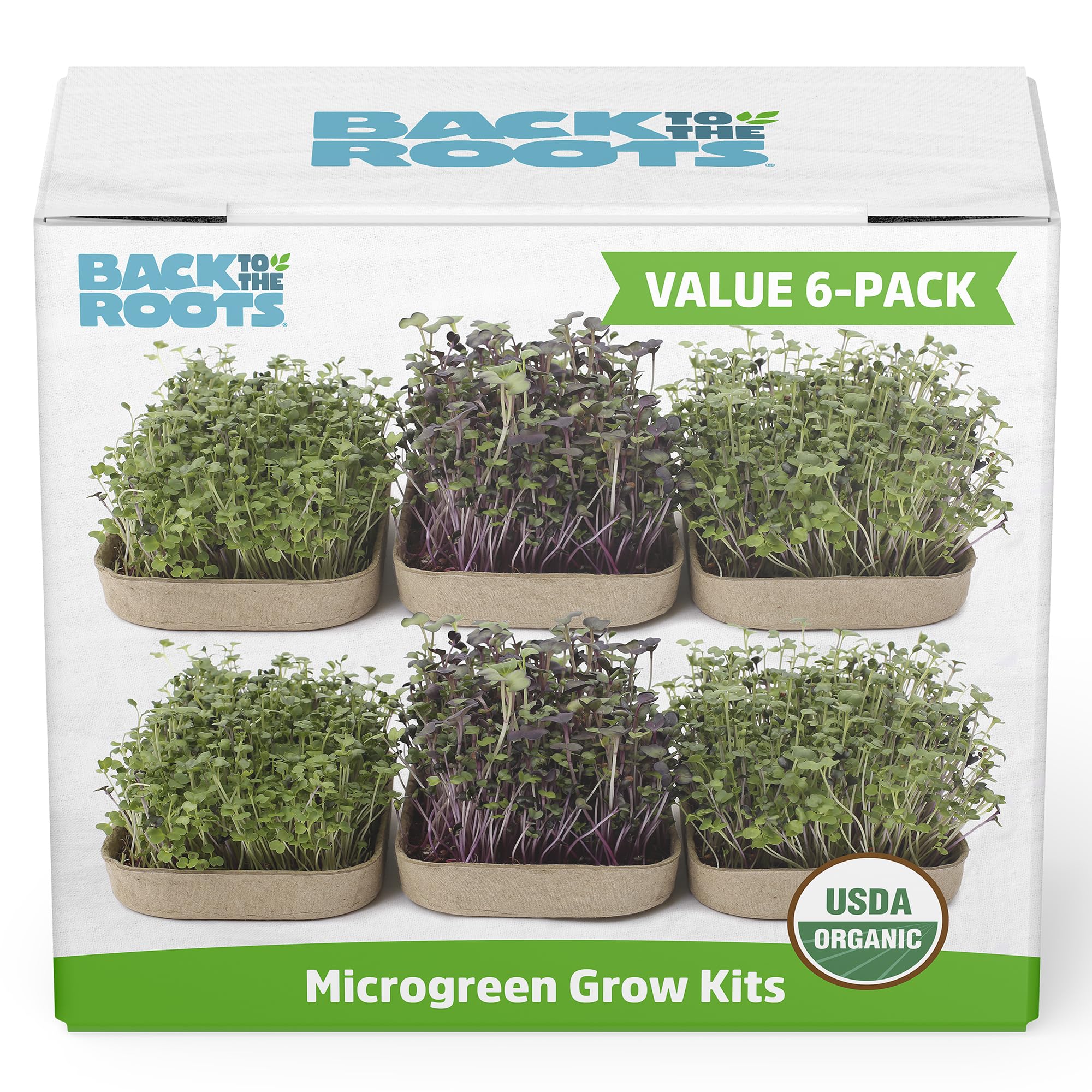 Back to the Roots microgreens kit open box—ready to start a fresh, homegrown harvest.