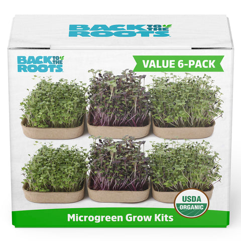 Back to the Roots microgreens kit open box—ready to start a fresh, homegrown harvest.