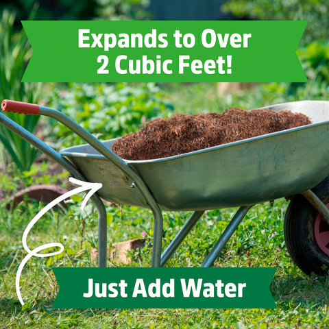 Back to the Roots mulch in raised beds improves soil aeration and moisture retention.