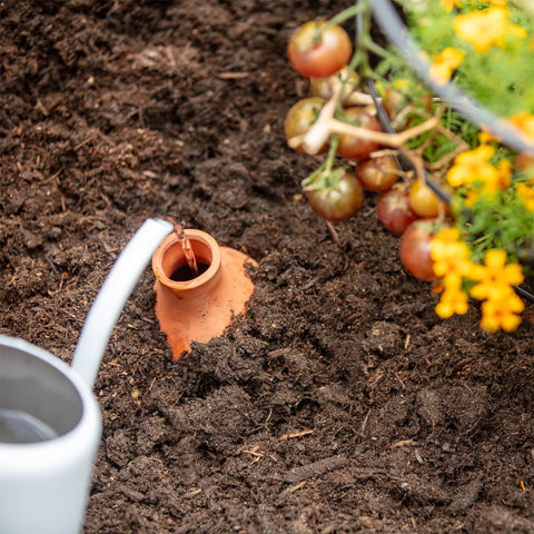 Back to the Roots porous clay for slow watering via osmosis.