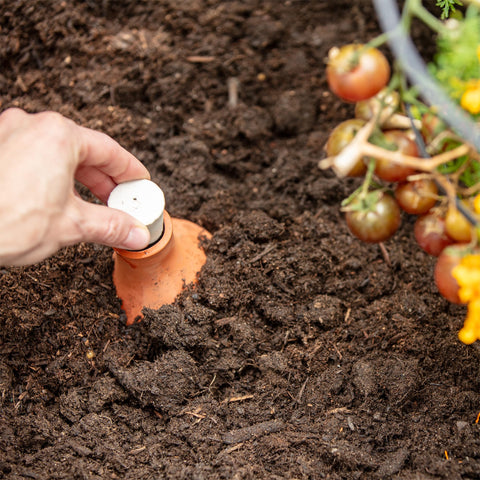 Back to the Roots 700 mL capacity supports watering during weekend getaways.