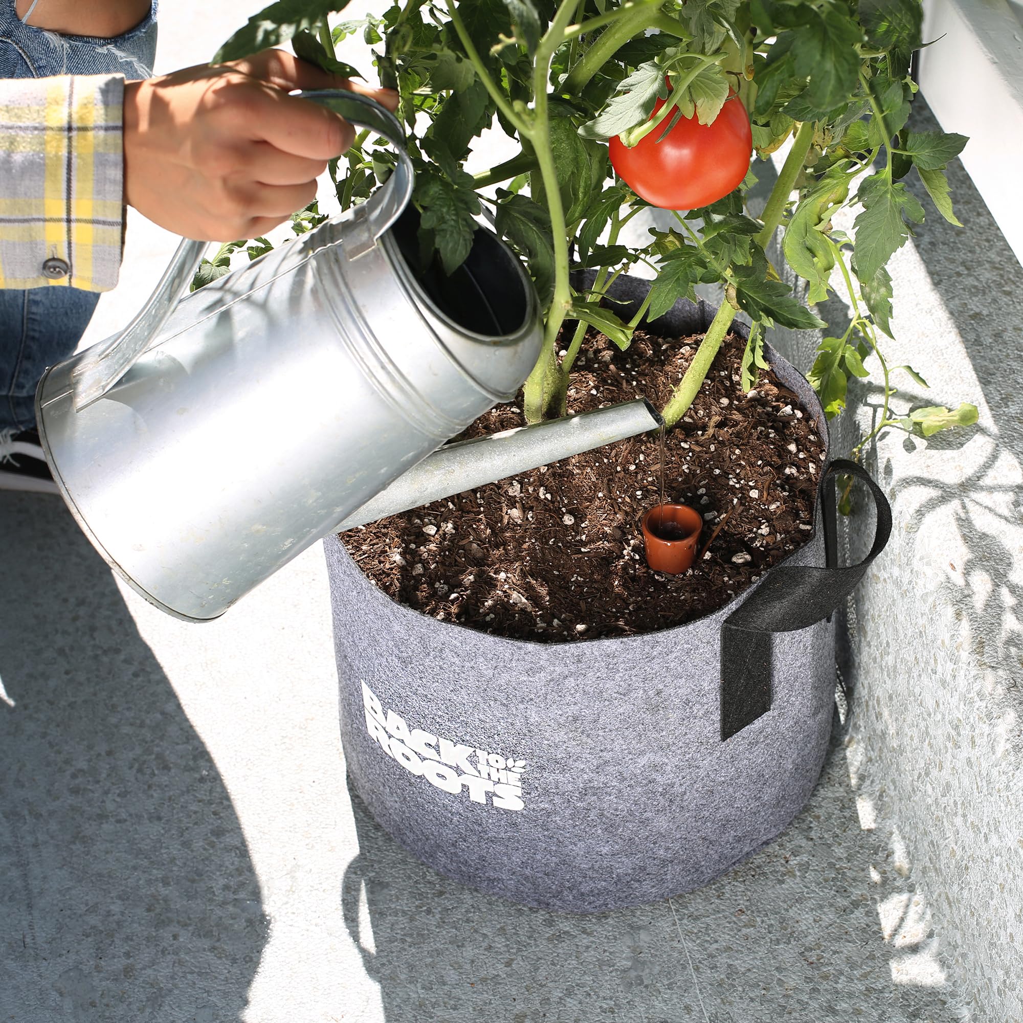Back to the Roots Olla pot with weather-proof stopper reduces evaporation.