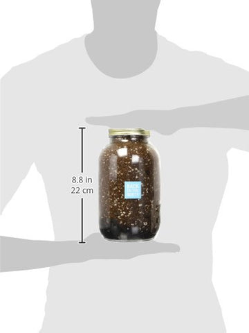 Back to the Roots organic fertilizer spikes support steady indoor pepper growth.