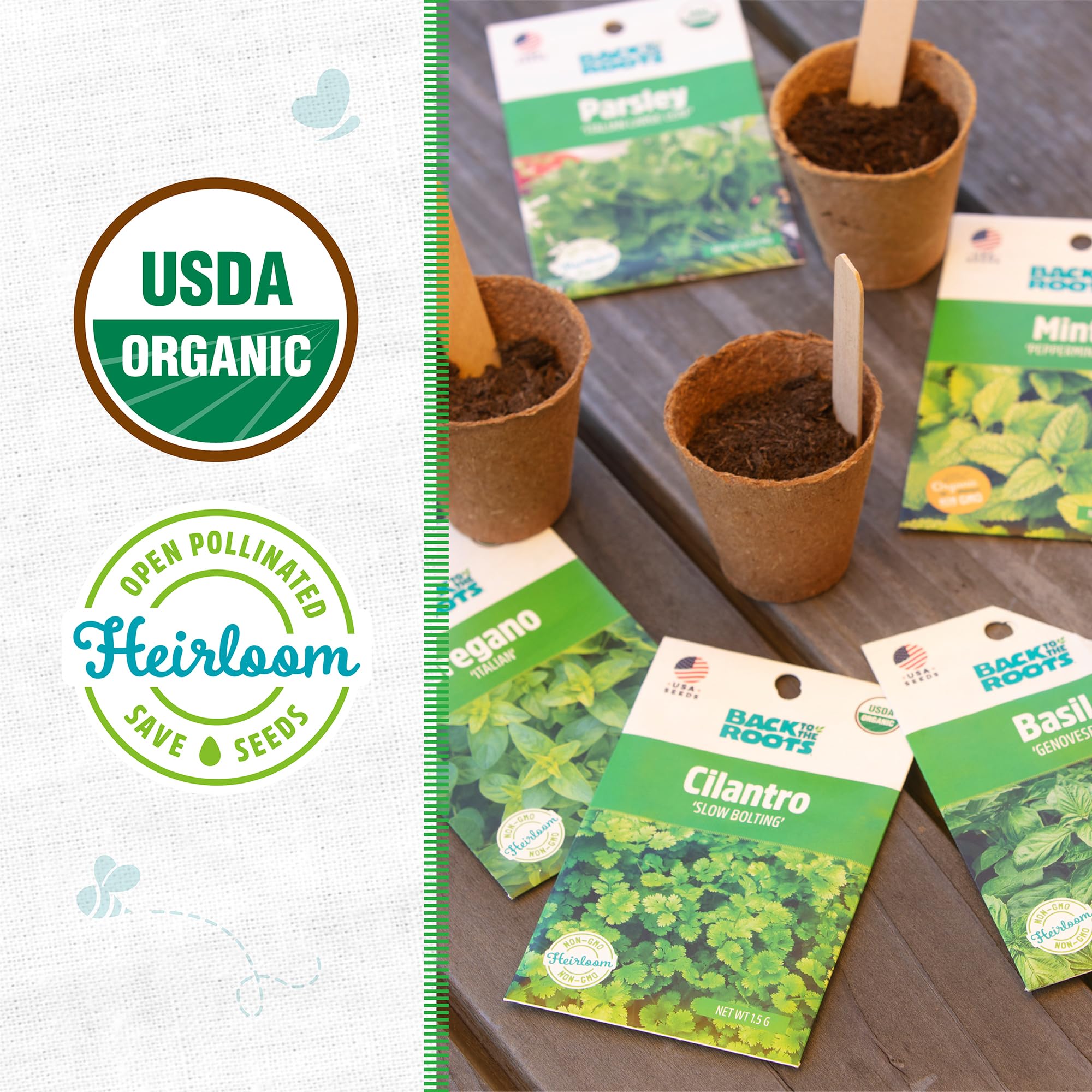 Back to the Roots herb seeds variety 5-pack garden setup inviting year-round herb growing.