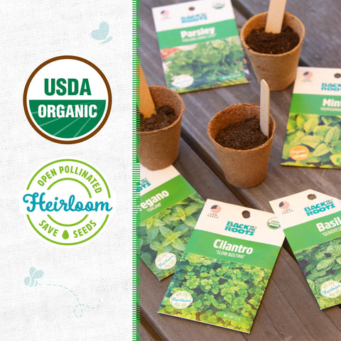 Back to the Roots herb seeds variety 5-pack garden setup inviting year-round herb growing.