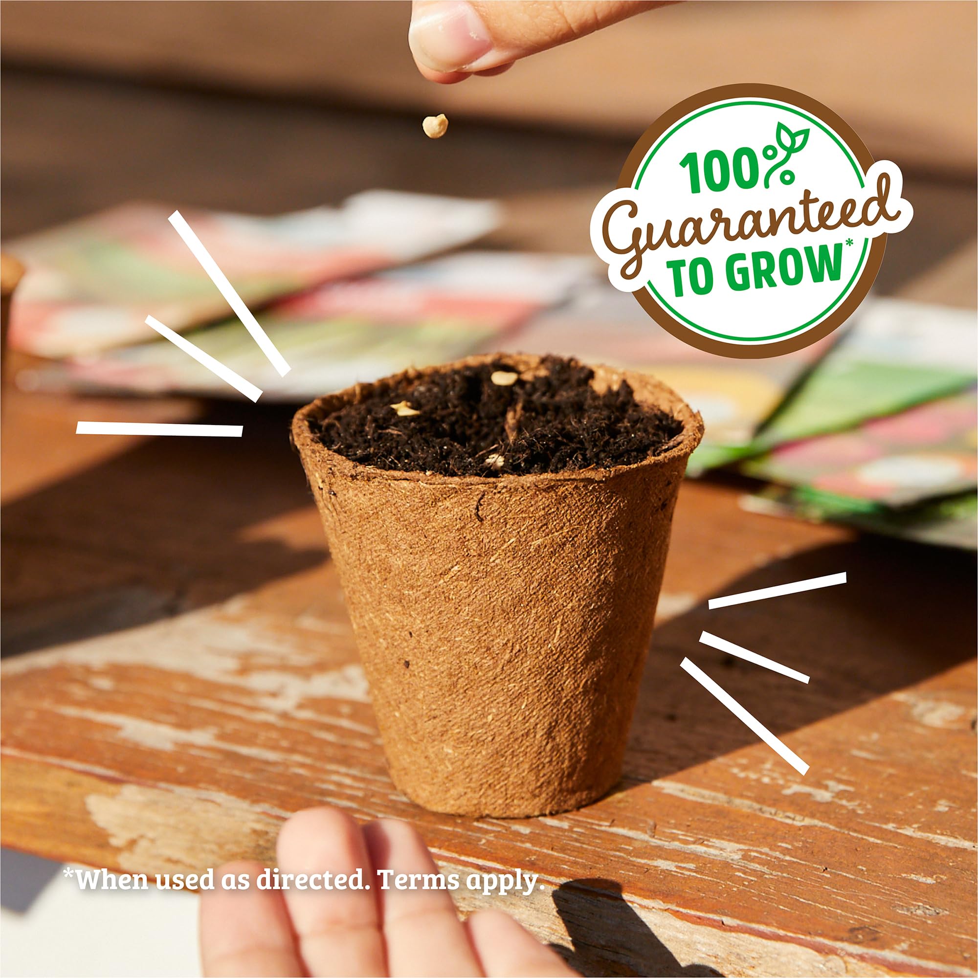 Back to the Roots gift-ready pack, a thoughtful present for herb lovers.
