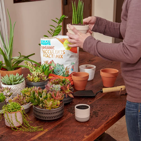 USA-made organic mix emphasizes quality and responsible manufacturing