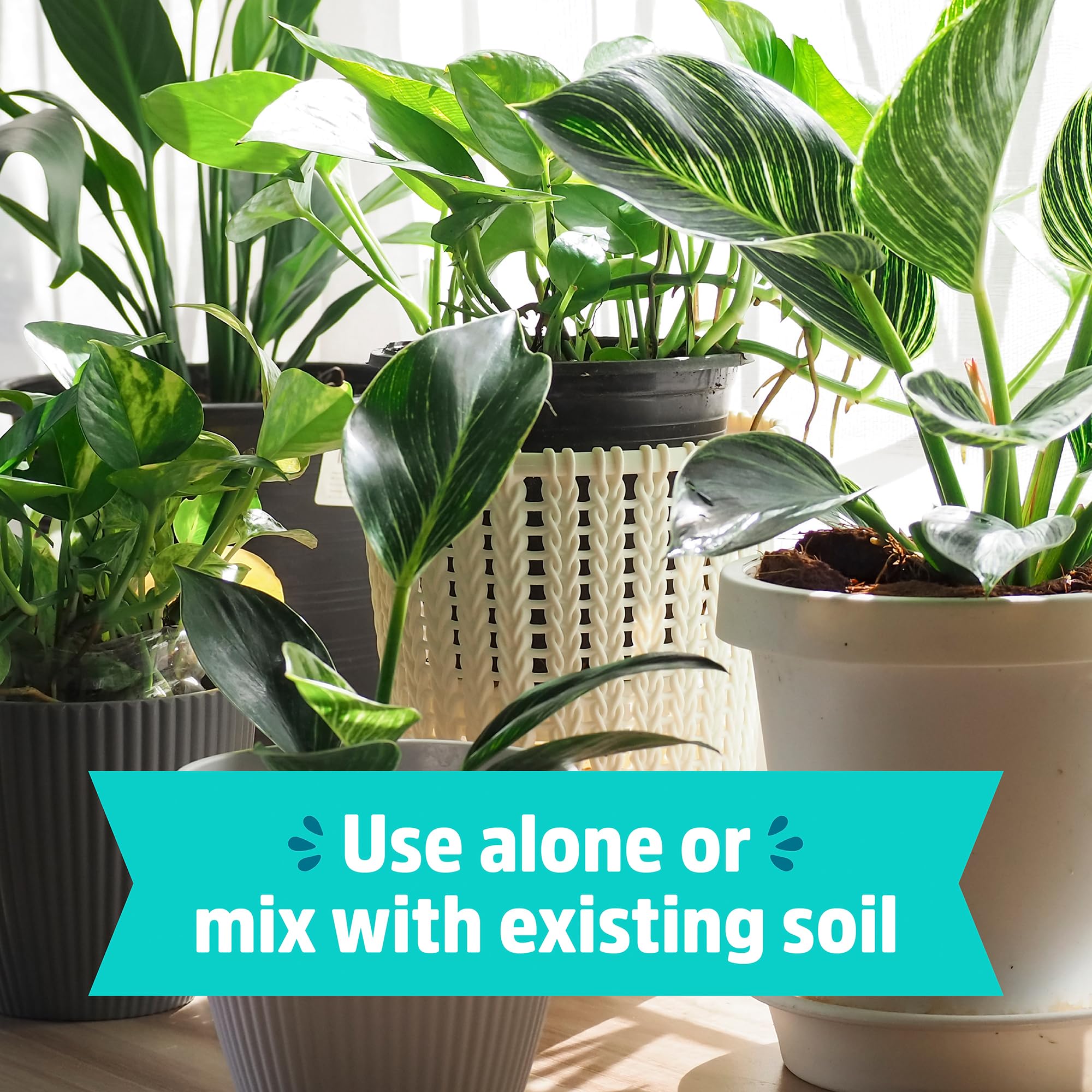 Back to the Roots peat-free organic soil ideal for all-purpose use.