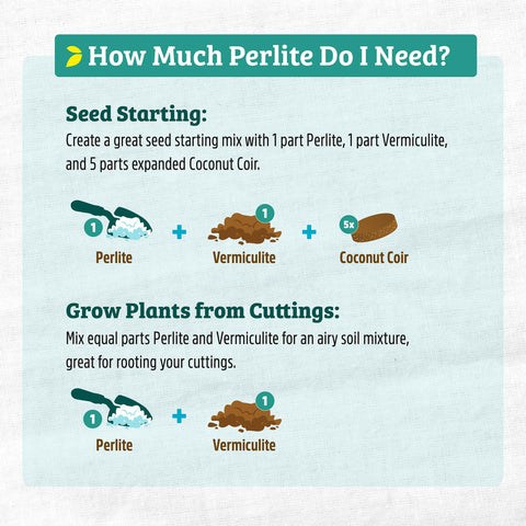 Back to the Roots perlite bag detail highlights premium horticultural grade.
