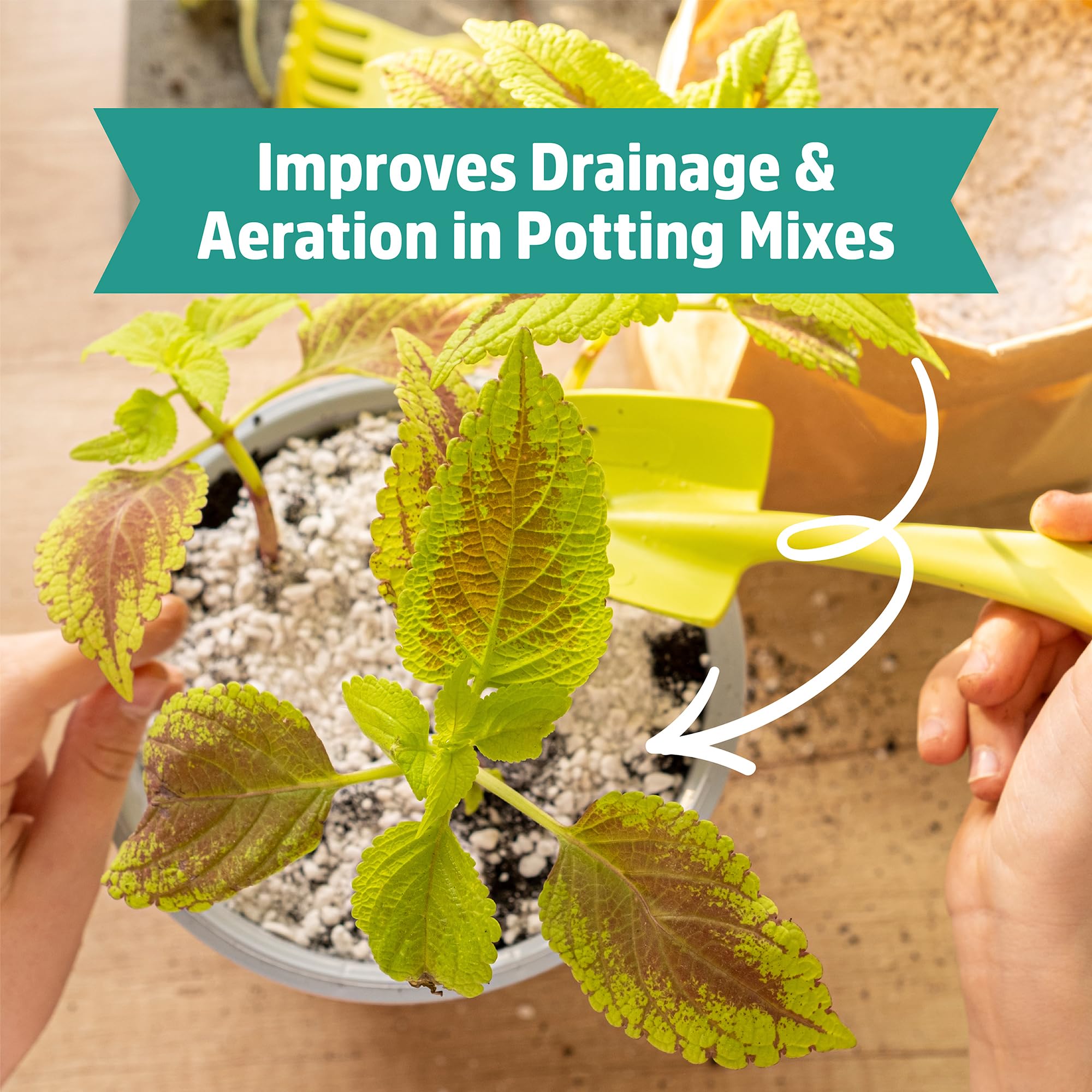 Back to the Roots perlite improves drainage in a plant bed