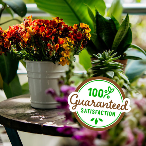 Back to the Roots perlite supports healthy container gardening indoors.