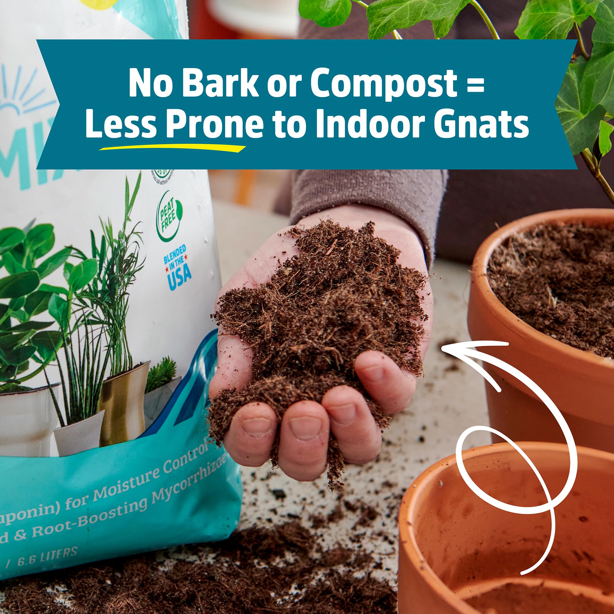 Back to the Roots safe for pets and people, indoors