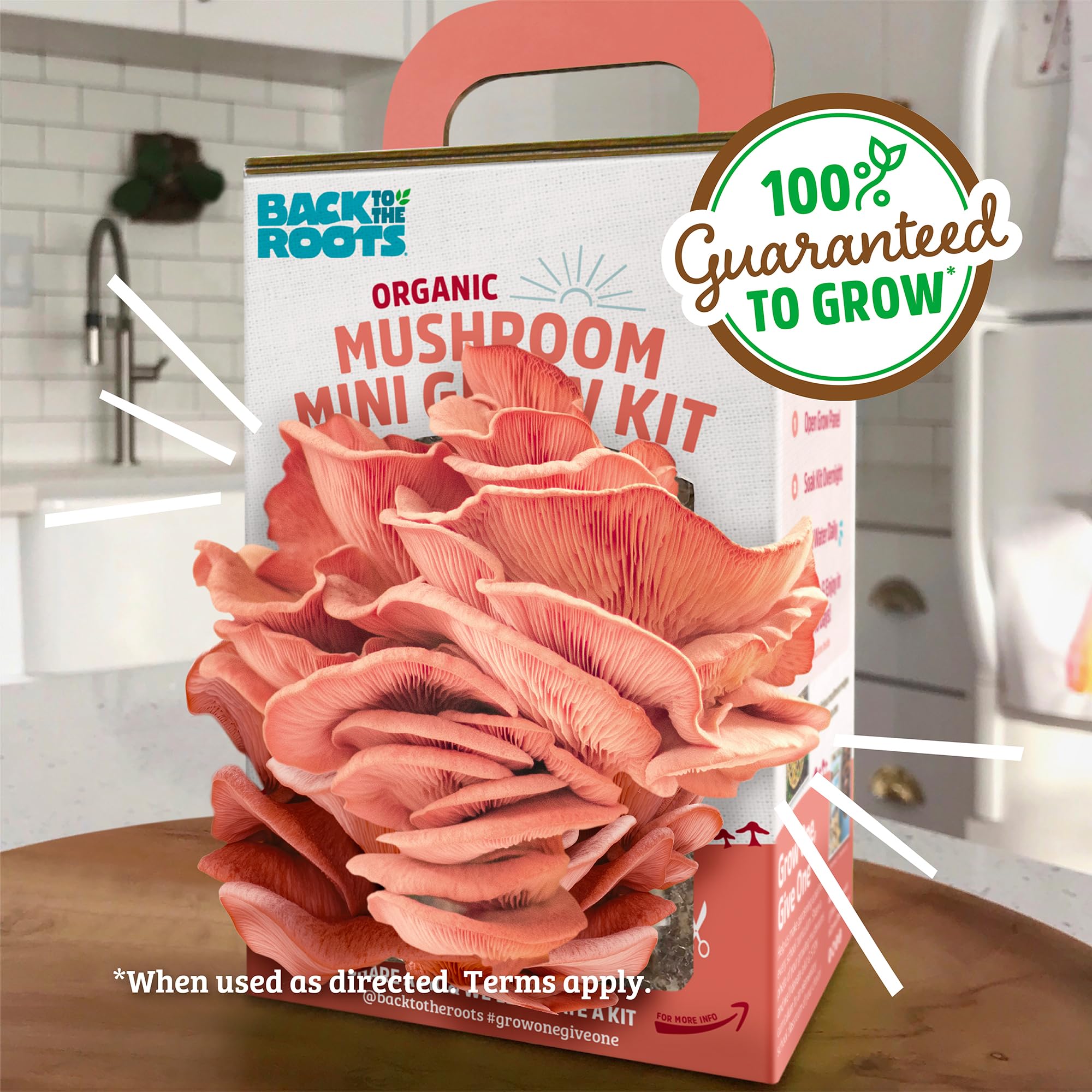 Instruction booklet included with the grow kit guiding care