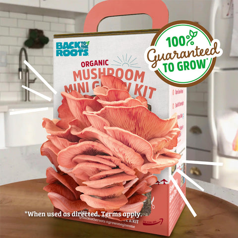 Instruction booklet included with the grow kit guiding care
