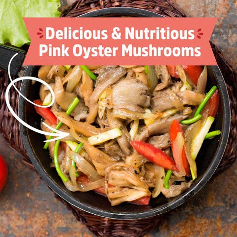 Back to the Roots pink mushroom grow kit mushrooms sautéing in a skillet