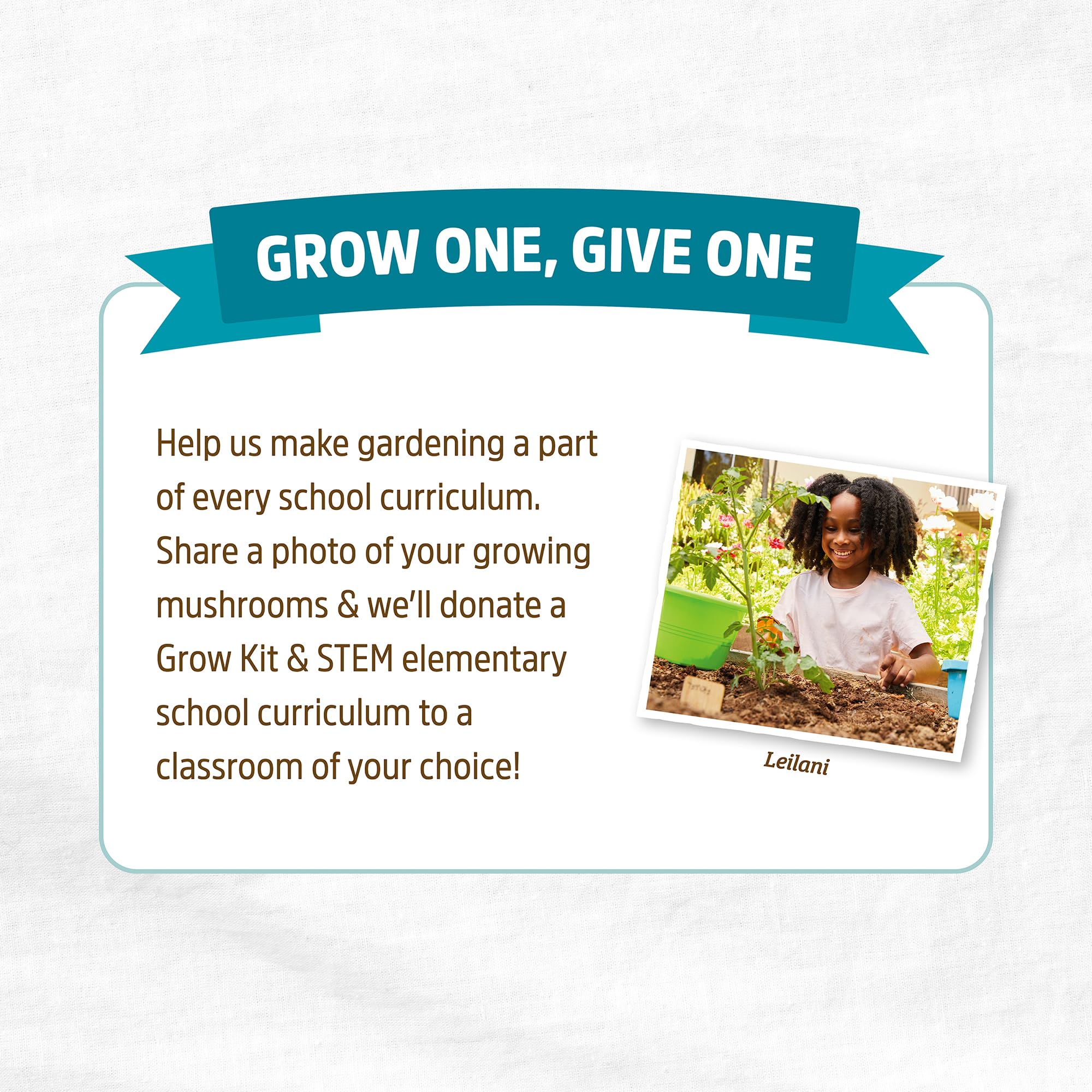 Back to the Roots grow kit displayed by window for year-round indoor cultivation