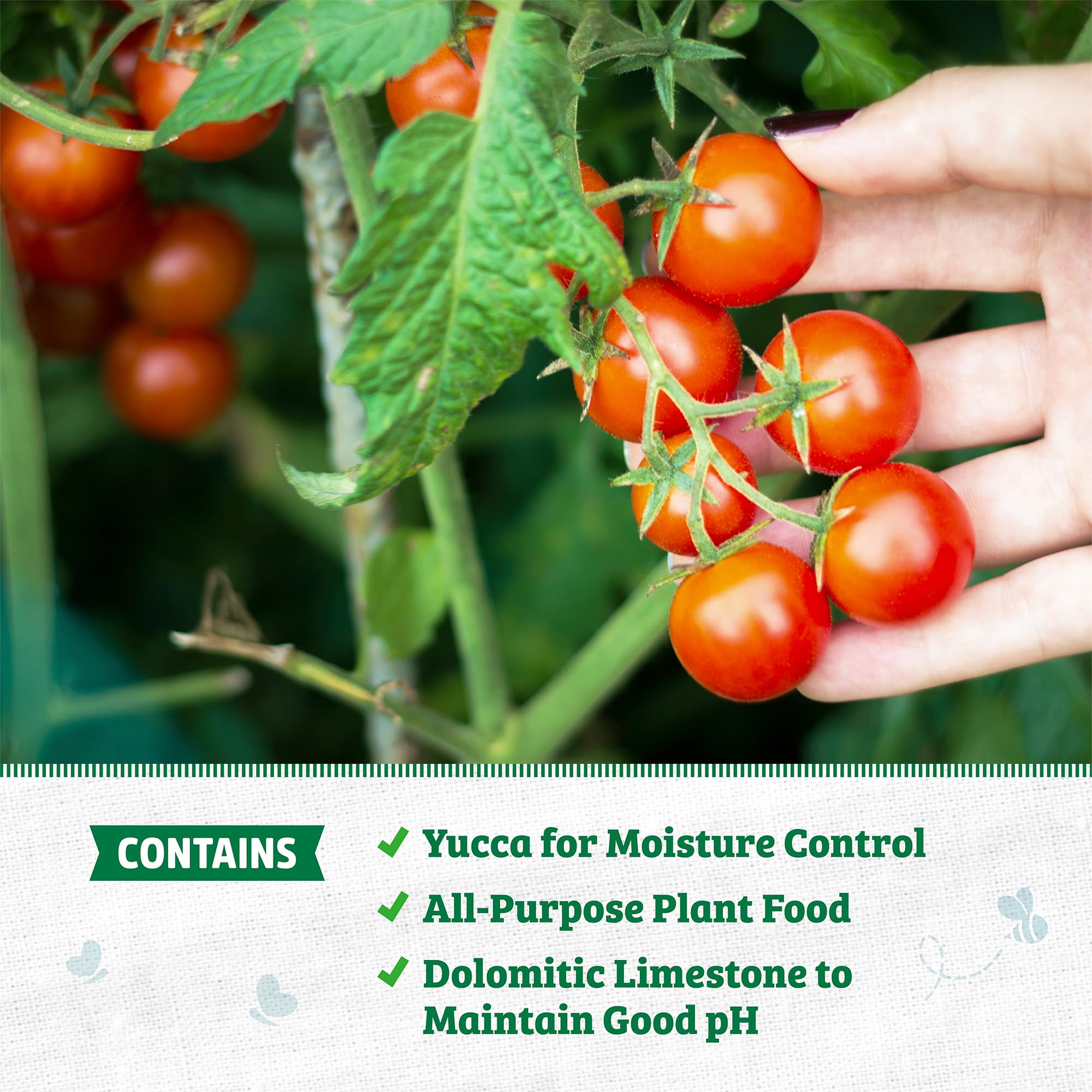 Back to the Roots potting mix used in herbs and vegetables setup promotes healthy growth.