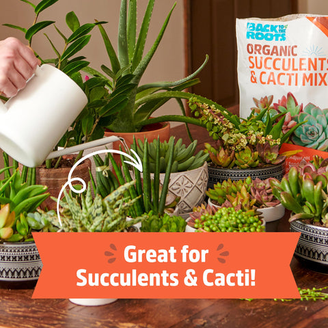 Back to the Roots rapid drainage with perlite and sand protects roots from rot.